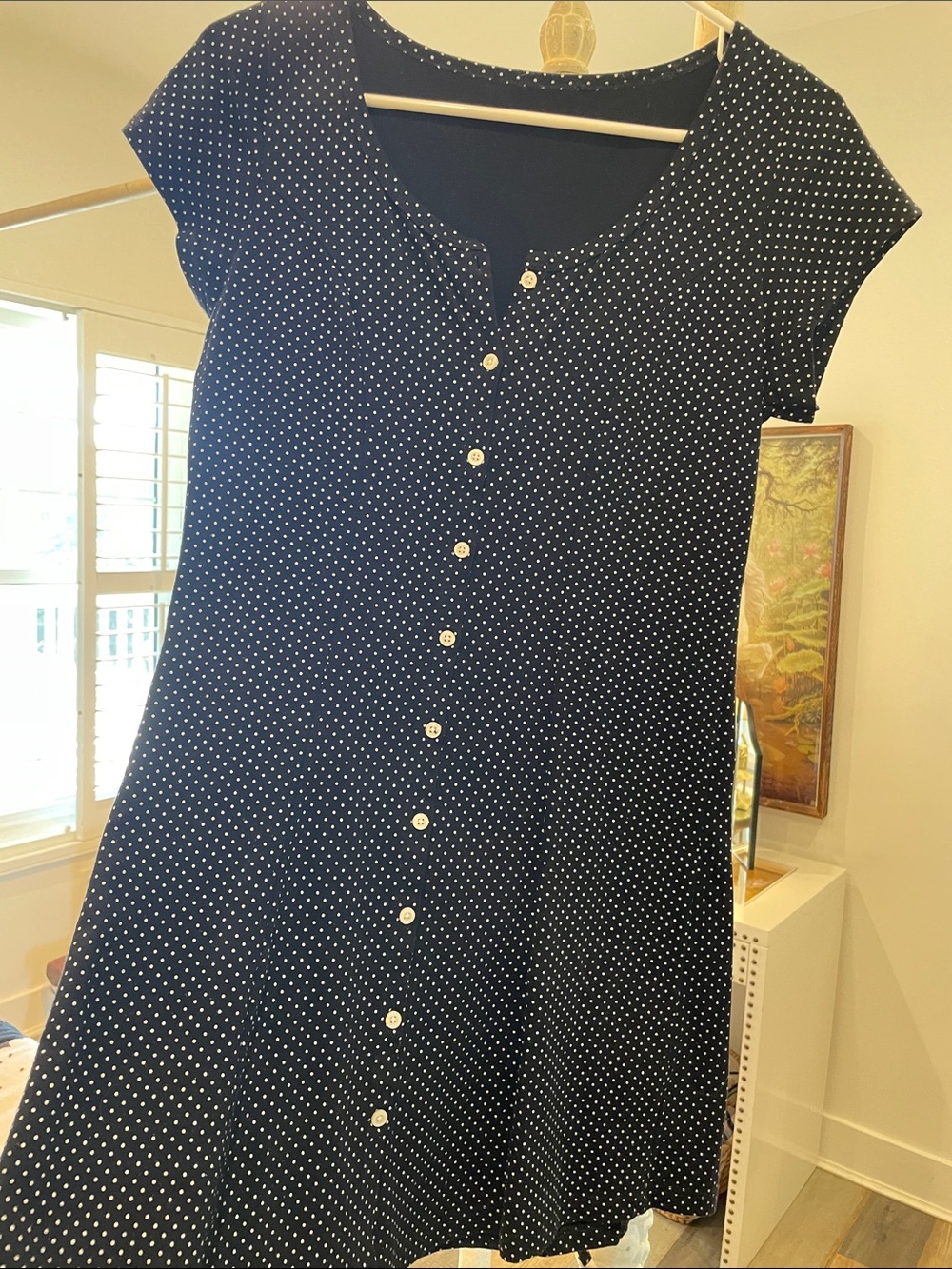 Brandy Melville Navy Blue Polka Dot Button-Front Mini Dress